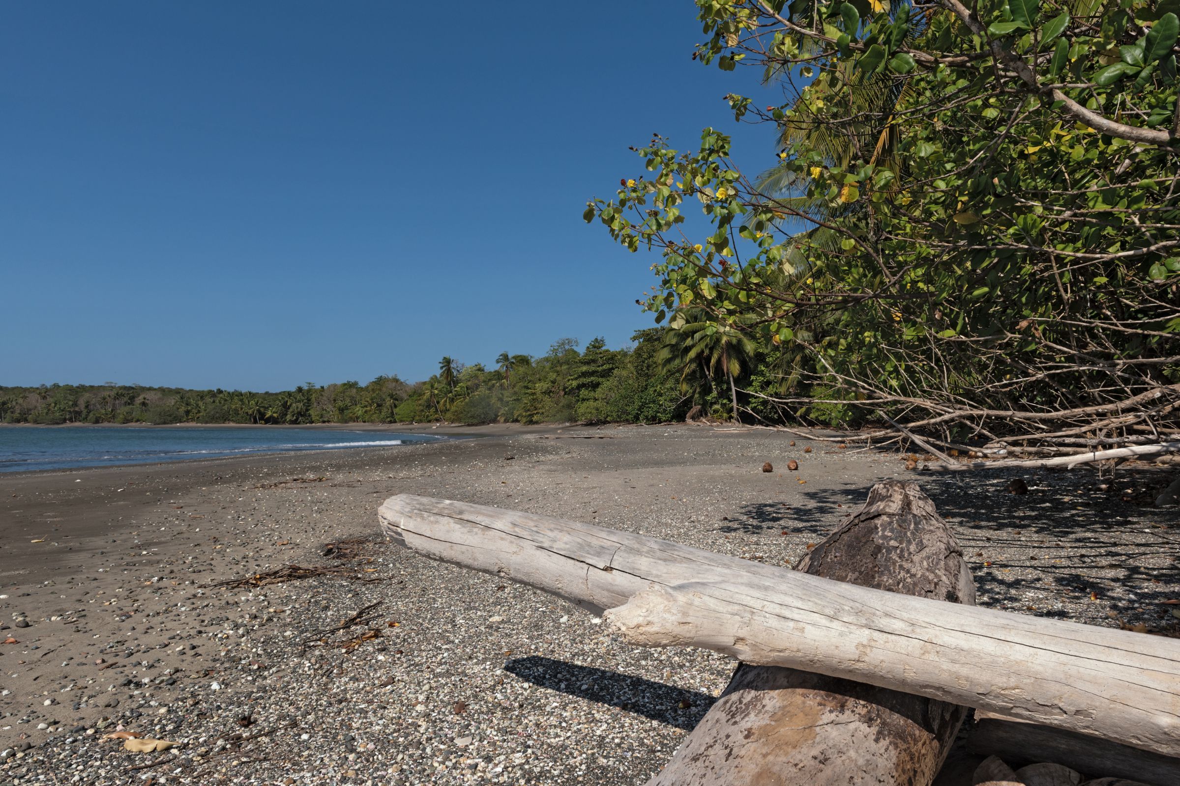 cébaco island (2).webp